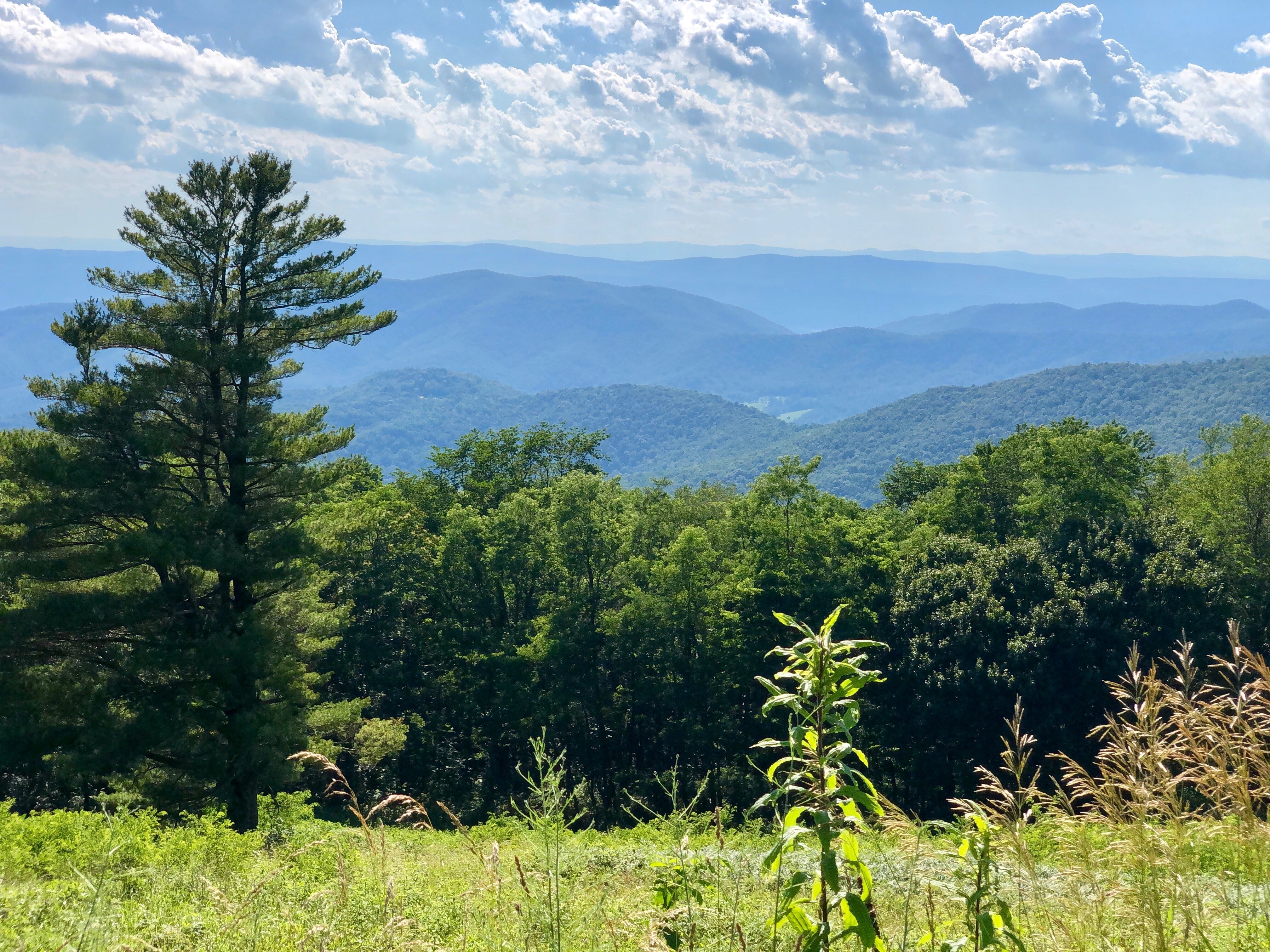 Blog 2019 Backroads