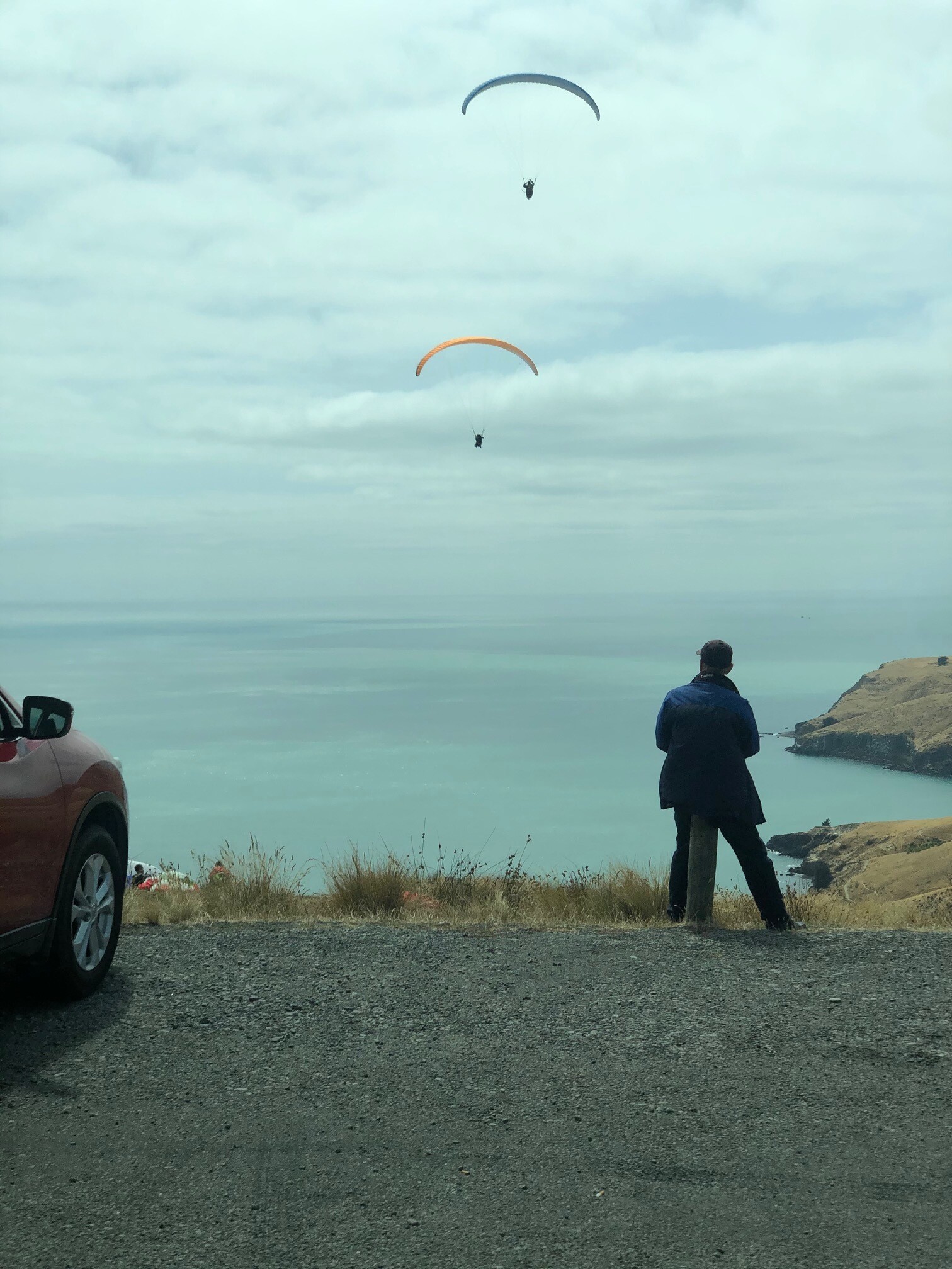 Blog 2020 Newzealand