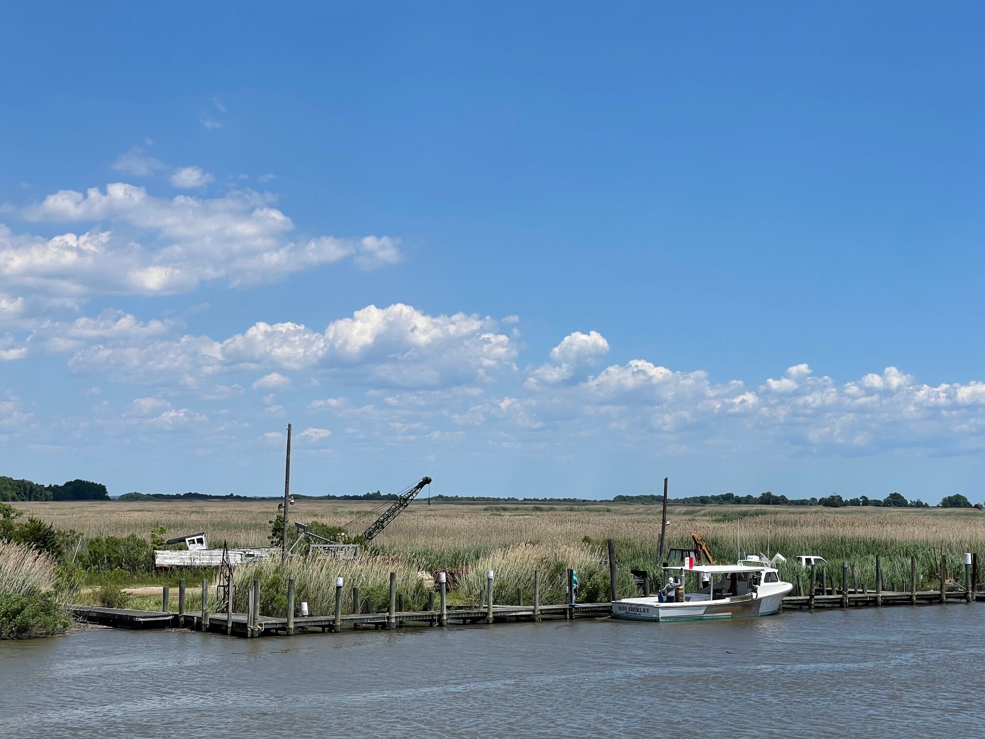 Blog 2022 Delmarva