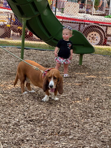 A kid and a dog.