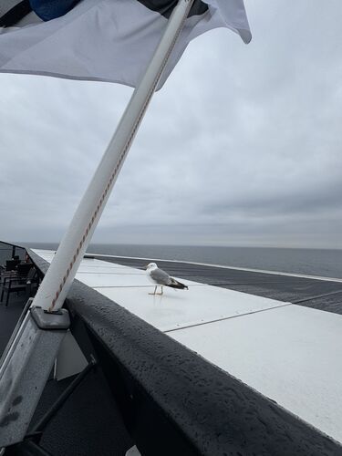 Crossing the Gulf of Finland