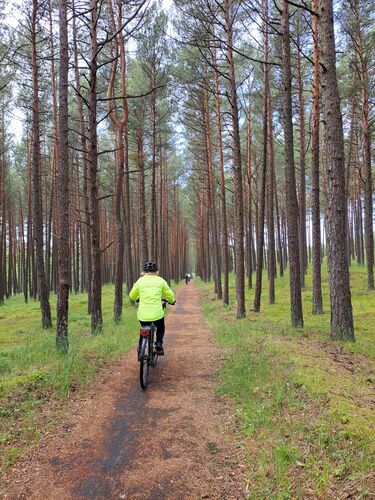 Simply beautiful ride