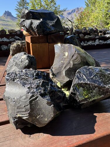 Rocks (out of 10’s of thousands) collected by Petra