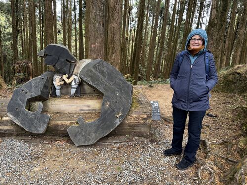 Alishan, maybe Mary remembers what this is