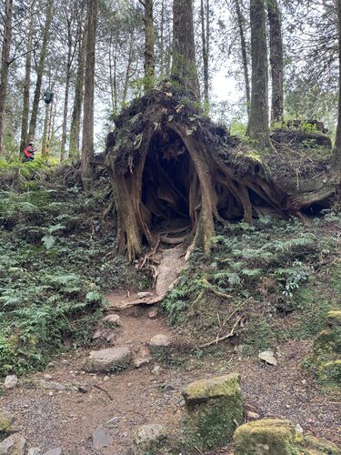 It is a good hideout