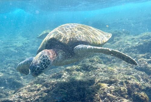 My favorite pic