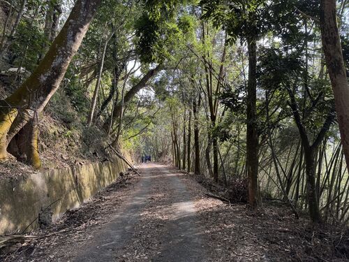 Country path around the tea house